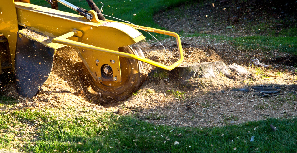 Stump Removal